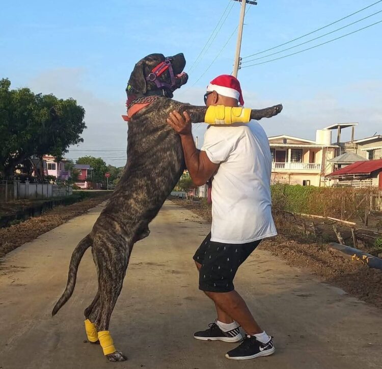 Rover (dog) with owner (Photo WIN Facebook)