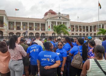 WIN supporters protest in front of Parliament Buildings on Monday November 24, 2025