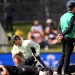 Daryl Mitchell suffered a discomfort in his thigh while batting in the first ODI © Getty