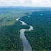 A section of Guyana’s lush rainforest