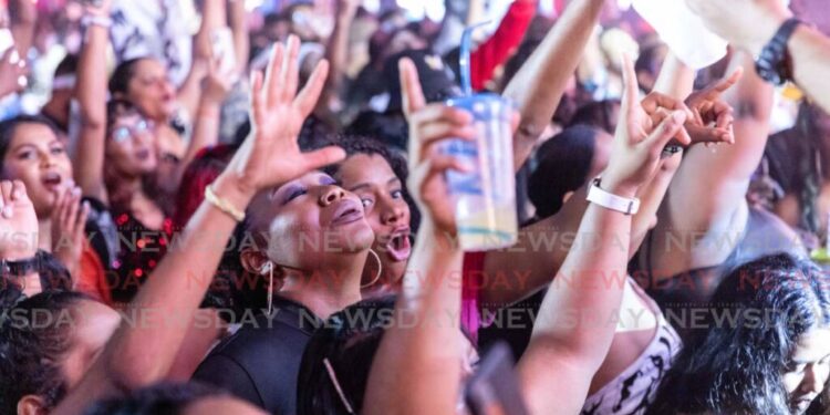 Patrons at Out in South fete, Brian Lara Cricket Academy carpark on January 26. - File photo