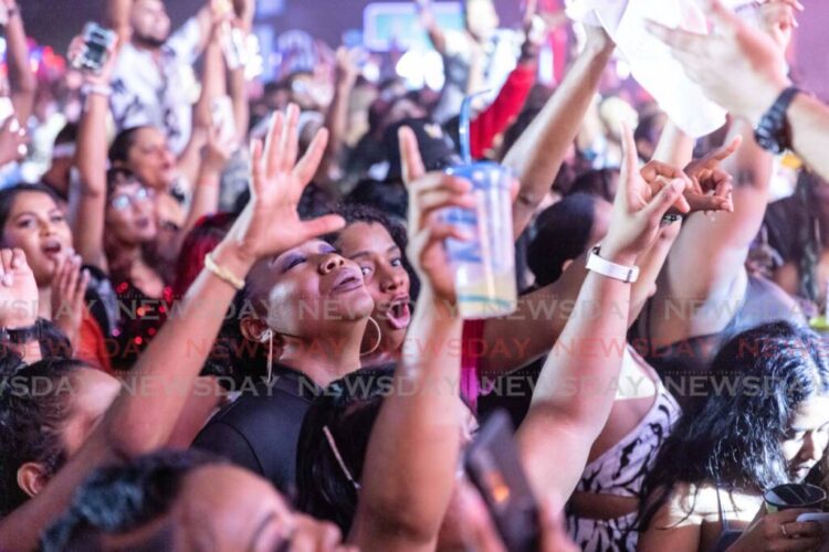 Patrons at Out in South fete, Brian Lara Cricket Academy carpark on January 26. - File photo