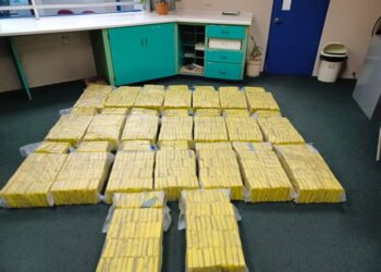 The 600 kg of marijuana seized by police in Point Fortin on December 11 -