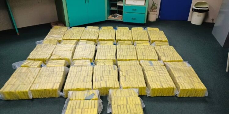 The 600 kg of marijuana seized by police in Point Fortin on December 11 -