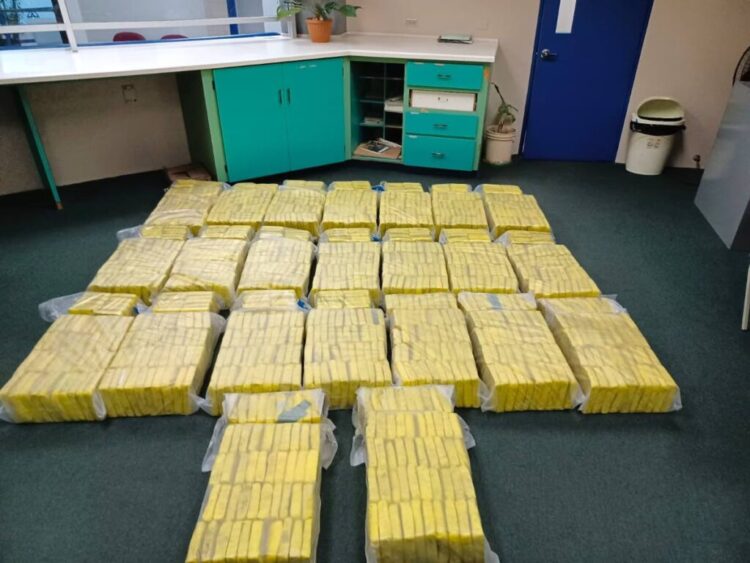 The 600 kg of marijuana seized by police in Point Fortin on December 11 -