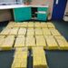 The 600 kg of marijuana seized by police in Point Fortin on December 11 -