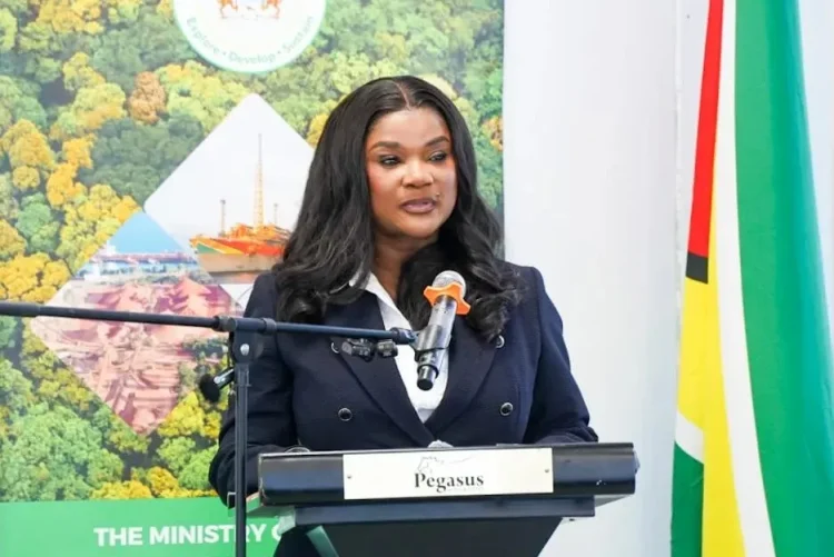 Cybele Energy founder and chief executive Beatrice Mensah Tayui.
Photo: GUYANA DEPARTMENT OF PUBLIC INFORMATION