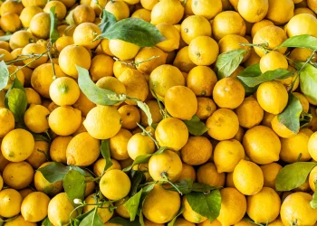 Lemon
