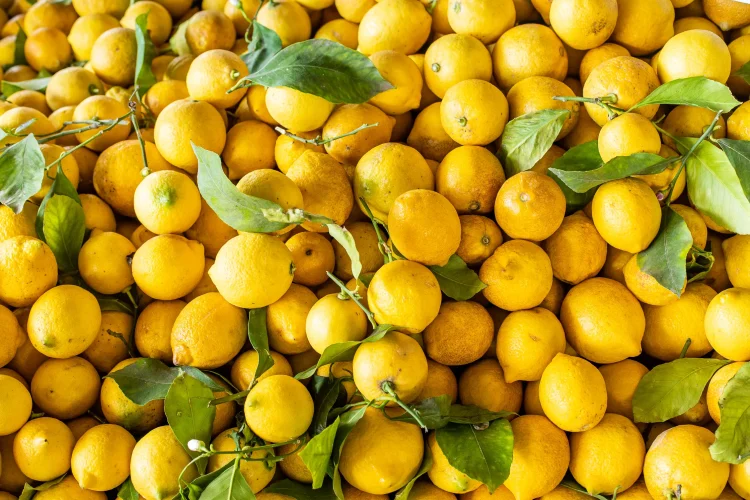 Lemon