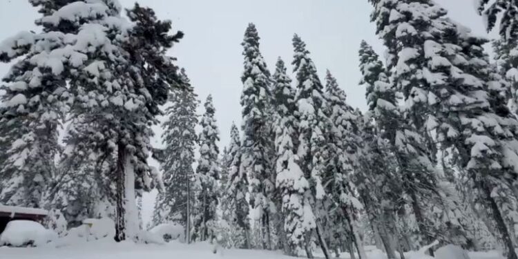 The stormy conditions come as passengers travel across the country for the festive holiday.