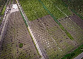 An aerial view of a portion of Palmyra that is destined for massive development