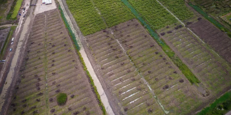An aerial view of a portion of Palmyra that is destined for massive development