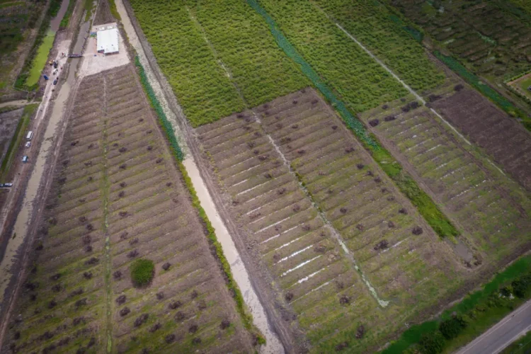 An aerial view of a portion of Palmyra that is destined for massive development