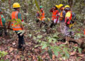 Showing certification team conducting assessment in the Iwokrama Forest.