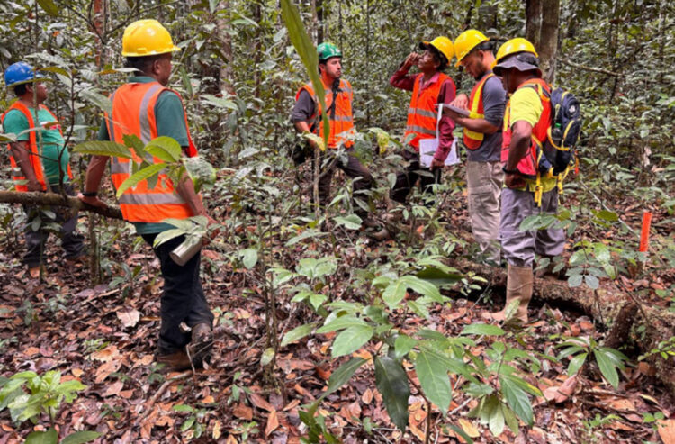 Showing certification team conducting assessment in the Iwokrama Forest.