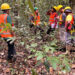Showing certification team conducting assessment in the Iwokrama Forest.