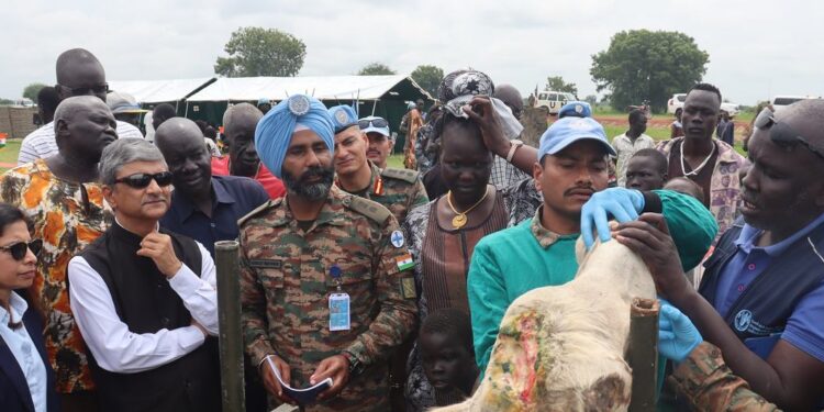 UNMISS/Mach Samuel To help reduce tensions and improve livelihoods, UNMISS Indian peacekeepers conducted veterinary camps in Jonglei State to treat diseases, provided preventive care and free medicines.