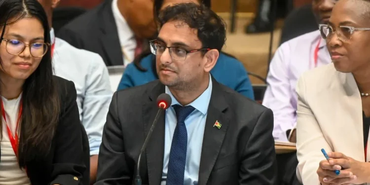 Minister of Public Service, Government Efficiency and Implementation, Zulfikar Ally, speaking at the National Assembly