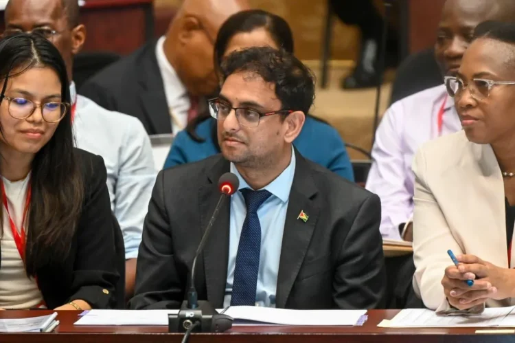 Minister of Public Service, Government Efficiency and Implementation, Zulfikar Ally, speaking at the National Assembly