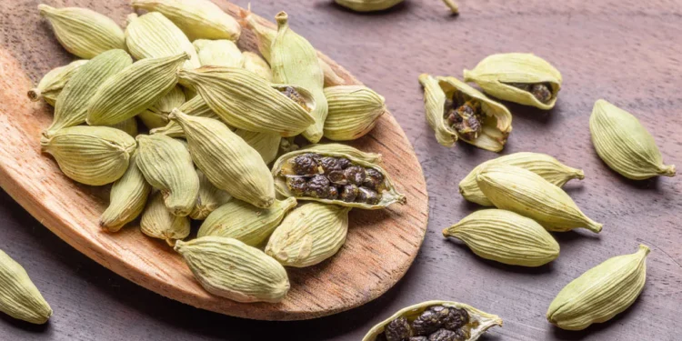 Cardamom podsThe seeds from the pods are used in a variety of cuisines.