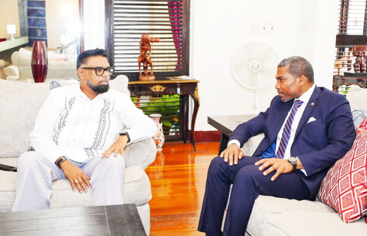 (L-R) President Irfaan Ali with St Kitts-Nevis PM Dr Terrance Drew (Office of the President photo)