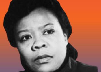 Marie Van Brittan Brown (Google photo)