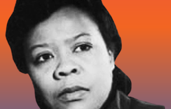 Marie Van Brittan Brown (Google photo)