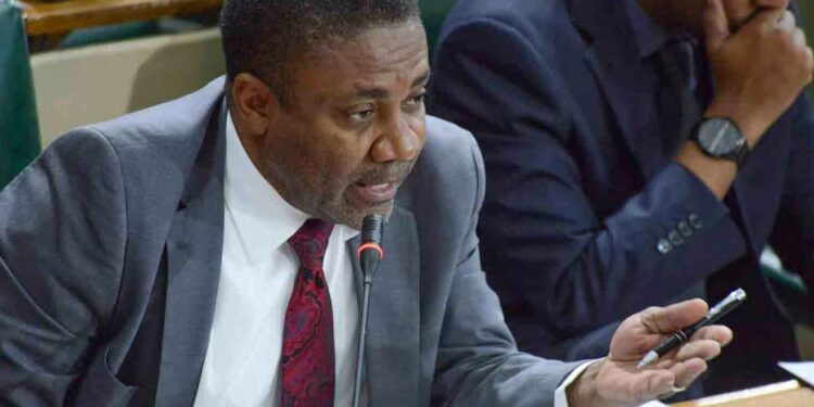 Opposition Spokesperson on Energy and Telecommunications, East Kingston MP Phillip Paulwell