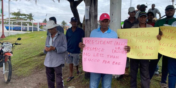 Region Tow rice farmers
