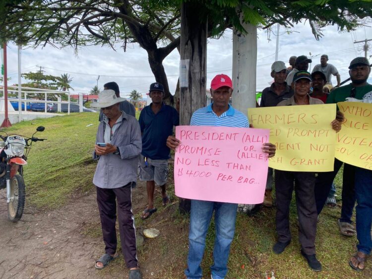 Region Tow rice farmers