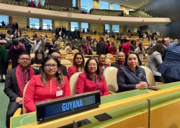 Minister of Amerindian Affairs, Sarah Browne-Shadeek; Permanent Representative of Guyana to the United Nations, Ambassador Carolyn Rodrigues-Birkett; and Minister within the Ministry of Local Government and Regional Development, Pauline Sukhai, were among the members of the Guyanese delegation participating in the United Nations forum