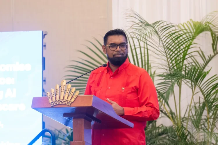 President Mohamed Irfaan Ali