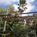 The Guyana Zoological Park and Botanical Gardens is located on Vlissengen in Georgetown