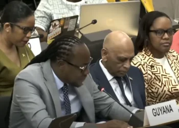 Minister within the Ministry of Culture, Youth and Sport, Steven Jacobs, addresses the 5th Session of the United Nations Permanent Forum on People of African Descent in Geneva, Switzerland