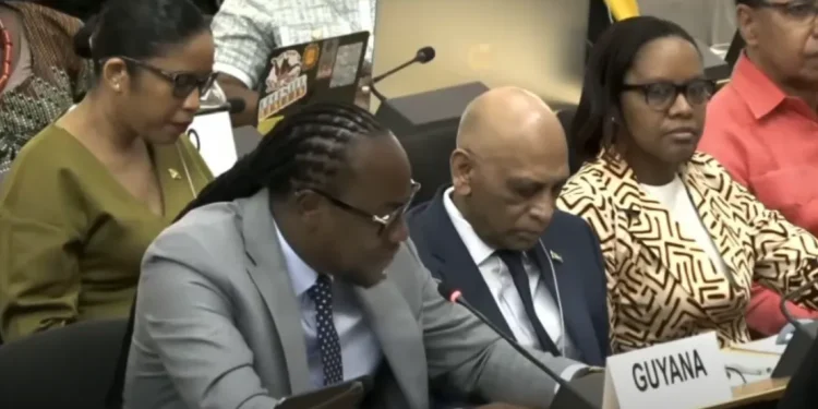 Minister within the Ministry of Culture, Youth and Sport, Steven Jacobs, addresses the 5th Session of the United Nations Permanent Forum on People of African Descent in Geneva, Switzerland