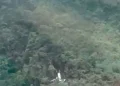 The plane crashed into a mountain side (News Source's photo)
