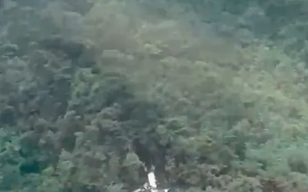 The plane crashed into a mountain side (News Source's photo)
