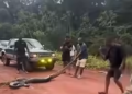 Image showing perpetrators in action