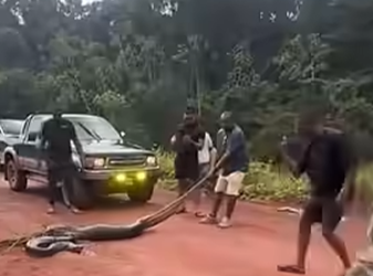 Image showing perpetrators in action