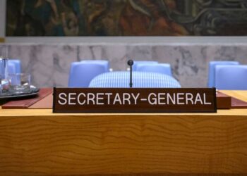 UN Photo/Loey Felipe The UN Secretary-General regularly addresses the Security Council. (pictured)