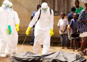 WHO declares Ebola Global Health Emergency — No vaccine, No cure, No Excuse for Caribbean Complacency