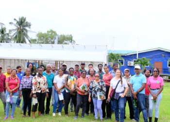 Farmers, extension officers and academia of regions 3, 4, 5, 6 and 10