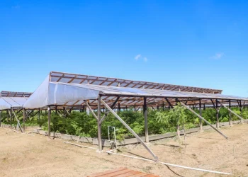 The modern shade houses that are being used in the agriculture sector