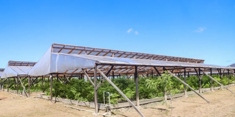 The modern shade houses that are being used in the agriculture sector