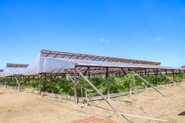 The modern shade houses that are being used in the agriculture sector