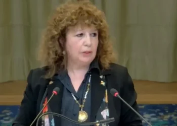 Dr Nilufer Oral, International law professor