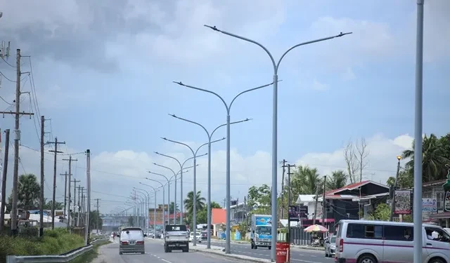 Streetlights along the Mandela roadway (DPI photo)