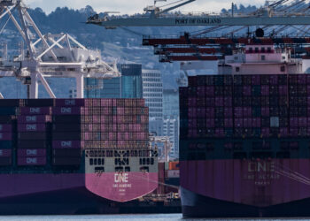 Cargo ships full of shipping containers are seen at the port of Oakland, California, US, March 6, 2025. [Photo/Agencies]