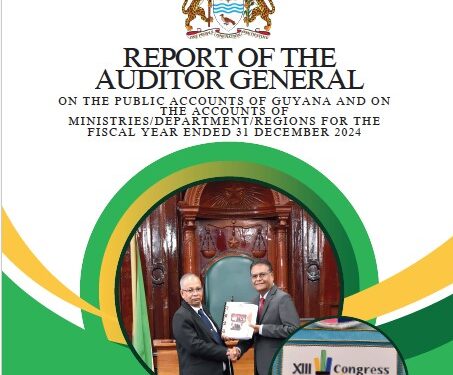 Auditor General Report 2024