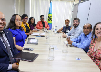CARICOM Secretariat: Beverly Harry-Emmanuel — Advisor, Social Development, and Officer-in-Charge, Human and Social Development Directorate (far left); Dr Wendy Telgt Emanuelson — Director, PANCAP Coordinating Unit (third from left), Tamara Bobb — Programme Manager, Health Sector Development (fourth from left) and Dr Shanti Singh-Anthony — Knowledge Coordinator, PANCAP Coordinating Unit (second from left) and Timothy Austin—Communications Officer (fifth from left). PAHO/WHO Regional Validation Committee (RVC): Sandra Jones — Advisor, HIV/STI, TB and Viral Hepatitis (far right), Dr Leandro Sereno Soares — Advisor, Viral Hepatitis Prevention and Control (second from right), Jodie Dionne — Chair, Regional Validation Committee (fourth from right) and Dr Shabbir Argaw — Member, Regional Validation Committee (third from right)